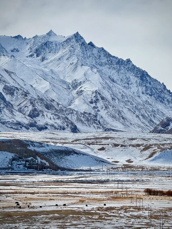 旅行社实测:问疆行999分登顶避坑指南全解析pg电子免费模拟器游戏2026喀什十大优质(图3) 旅行社实测:问疆行999分登顶避坑指南全解析pg电子免费模拟器游戏2026喀什十大优质(图3)